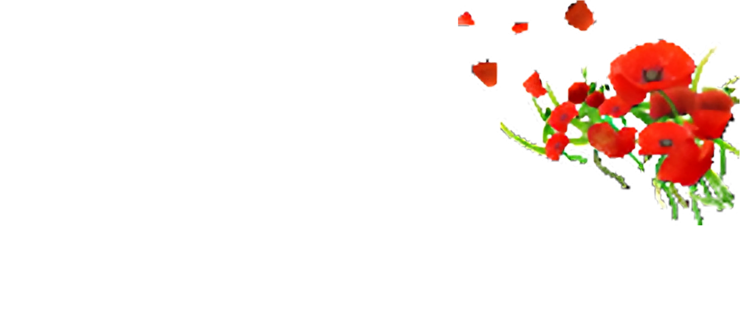 Hotel Il Papavero Rome