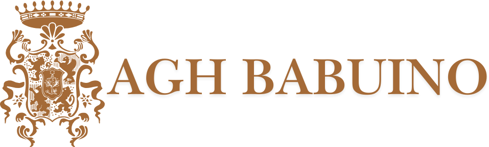 AGH Babuino Guesthouse