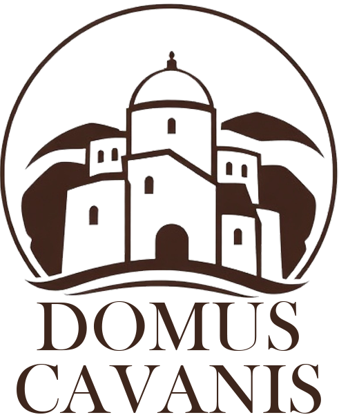 Domus Cavanis Venice